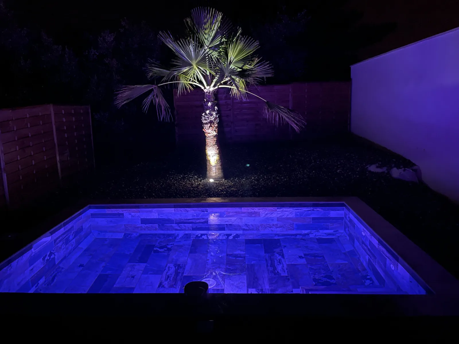 Suite Seychelles, photo 14